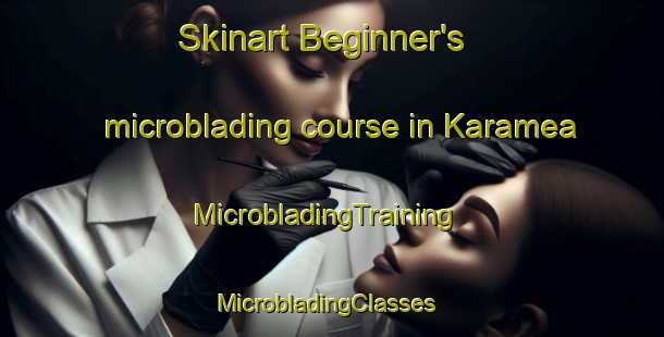 Skinart Beginner's microblading course in Karamea | MicrobladingTraining | MicrobladingClasses | SkinartTraining-New Zealand