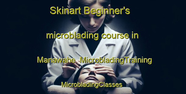 Skinart Beginner's microblading course in Manawahe | MicrobladingTraining | MicrobladingClasses | SkinartTraining-New Zealand