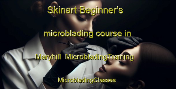 Skinart Beginner's microblading course in Maryhill | MicrobladingTraining | MicrobladingClasses | SkinartTraining-New Zealand