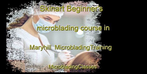 Skinart Beginner's microblading course in Maryhill | MicrobladingTraining | MicrobladingClasses | SkinartTraining-New Zealand