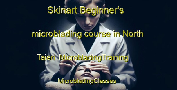 Skinart Beginner's microblading course in North Taieri | MicrobladingTraining | MicrobladingClasses | SkinartTraining-New Zealand