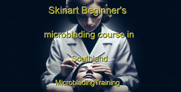 Skinart Beginner's microblading course in Southland | MicrobladingTraining | MicrobladingClasses | SkinartTraining-New Zealand