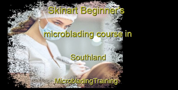 Skinart Beginner's microblading course in Southland | MicrobladingTraining | MicrobladingClasses | SkinartTraining-New Zealand