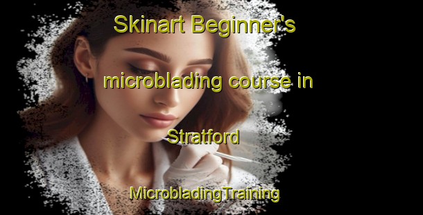 Skinart Beginner's microblading course in Stratford | MicrobladingTraining | MicrobladingClasses | SkinartTraining-New Zealand