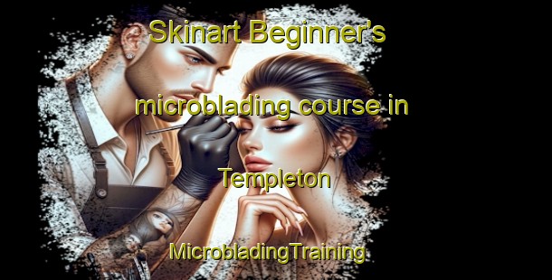 Skinart Beginner's microblading course in Templeton | MicrobladingTraining | MicrobladingClasses | SkinartTraining-New Zealand