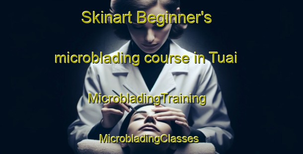 Skinart Beginner's microblading course in Tuai | MicrobladingTraining | MicrobladingClasses | SkinartTraining-New Zealand