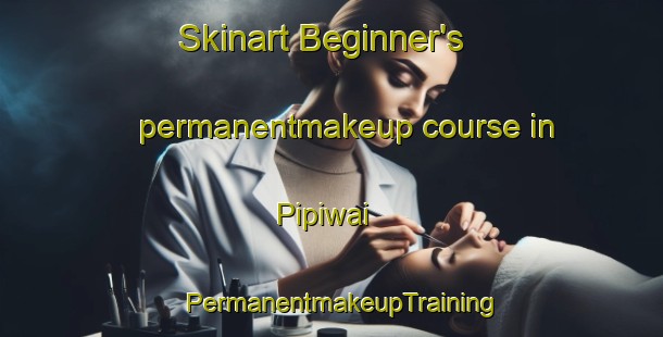 Skinart Beginner's permanentmakeup course in Pipiwai | PermanentmakeupTraining | PermanentmakeupClasses | SkinartTraining-New Zealand