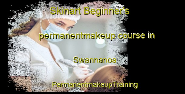 Skinart Beginner's permanentmakeup course in Swannanoa | PermanentmakeupTraining | PermanentmakeupClasses | SkinartTraining-New Zealand