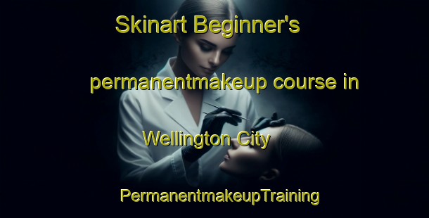 Skinart Beginner's permanentmakeup course in Wellington City | PermanentmakeupTraining | PermanentmakeupClasses | SkinartTraining-New Zealand