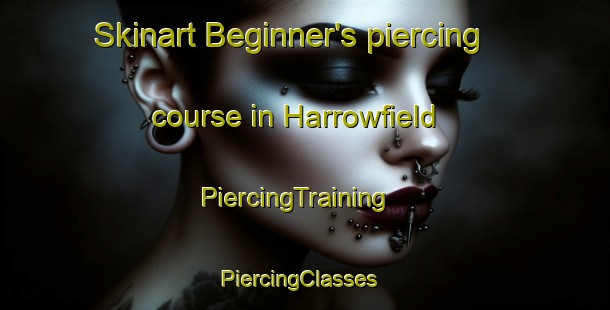 Skinart Beginner's piercing course in Harrowfield | PiercingTraining | PiercingClasses | SkinartTraining-New Zealand