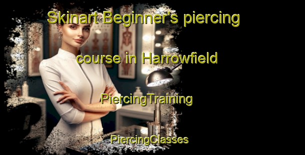 Skinart Beginner's piercing course in Harrowfield | PiercingTraining | PiercingClasses | SkinartTraining-New Zealand