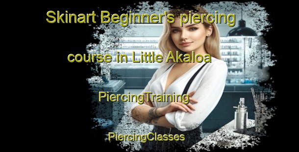 Skinart Beginner's piercing course in Little Akaloa | PiercingTraining | PiercingClasses | SkinartTraining-New Zealand