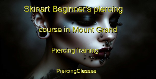 Skinart Beginner's piercing course in Mount Grand | PiercingTraining | PiercingClasses | SkinartTraining-New Zealand