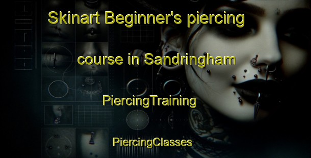 Skinart Beginner's piercing course in Sandringham | PiercingTraining | PiercingClasses | SkinartTraining-New Zealand