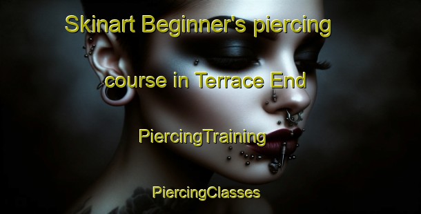 Skinart Beginner's piercing course in Terrace End | PiercingTraining | PiercingClasses | SkinartTraining-New Zealand