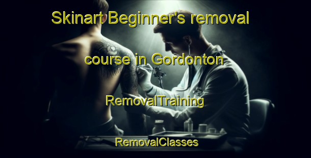 Skinart Beginner's removal course in Gordonton | RemovalTraining | RemovalClasses | SkinartTraining-New Zealand