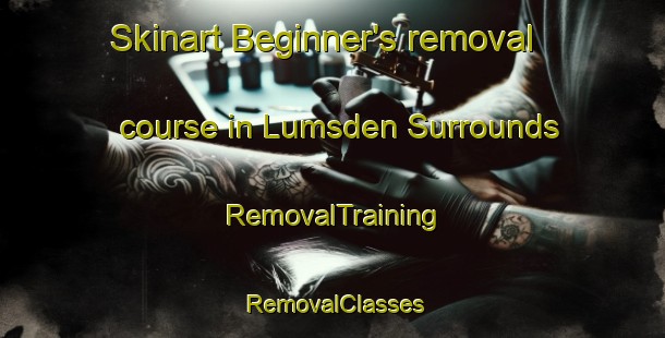 Skinart Beginner's removal course in Lumsden Surrounds | RemovalTraining | RemovalClasses | SkinartTraining-New Zealand