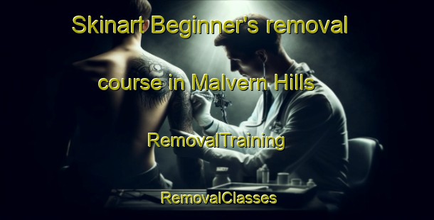Skinart Beginner's removal course in Malvern Hills | RemovalTraining | RemovalClasses | SkinartTraining-New Zealand