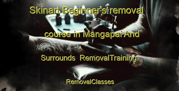 Skinart Beginner's removal course in Mangapai And Surrounds | RemovalTraining | RemovalClasses | SkinartTraining-New Zealand