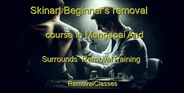 Skinart Beginner's removal course in Mangapai And Surrounds | RemovalTraining | RemovalClasses | SkinartTraining-New Zealand