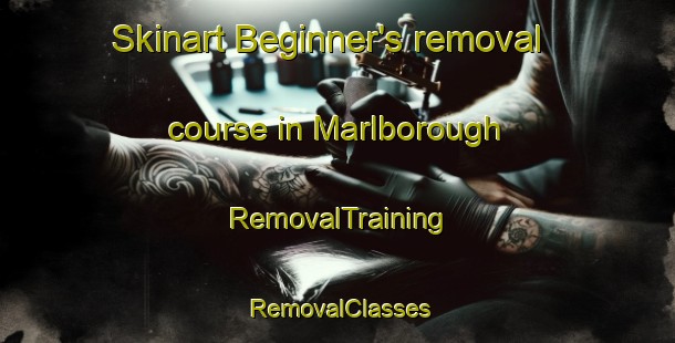 Skinart Beginner's removal course in Marlborough | RemovalTraining | RemovalClasses | SkinartTraining-New Zealand