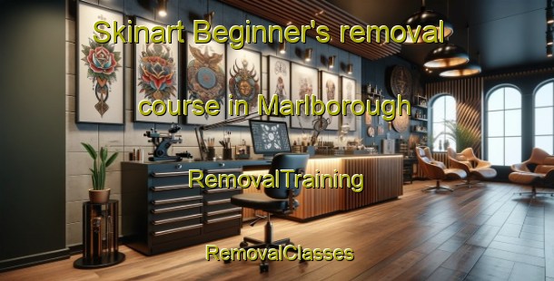 Skinart Beginner's removal course in Marlborough | RemovalTraining | RemovalClasses | SkinartTraining-New Zealand