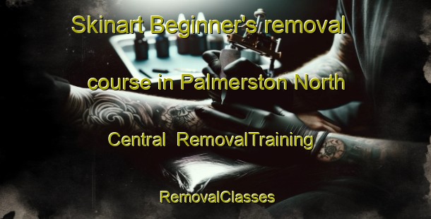 Skinart Beginner's removal course in Palmerston North Central | RemovalTraining | RemovalClasses | SkinartTraining-New Zealand