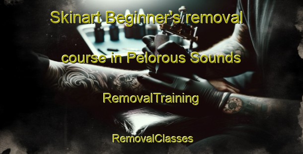 Skinart Beginner's removal course in Pelorous Sounds | RemovalTraining | RemovalClasses | SkinartTraining-New Zealand