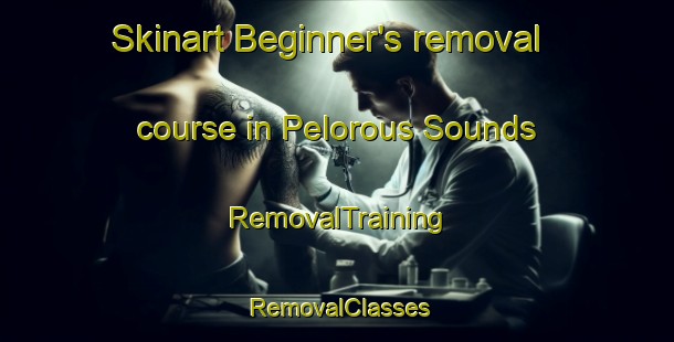Skinart Beginner's removal course in Pelorous Sounds | RemovalTraining | RemovalClasses | SkinartTraining-New Zealand