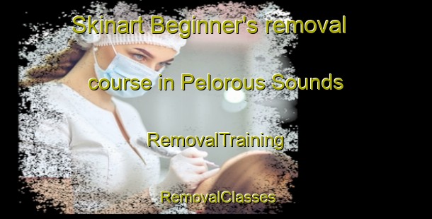 Skinart Beginner's removal course in Pelorous Sounds | RemovalTraining | RemovalClasses | SkinartTraining-New Zealand