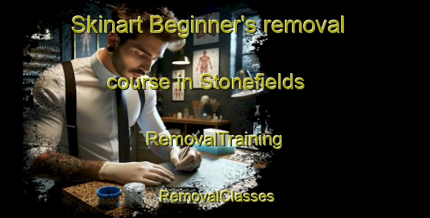 Skinart Beginner's removal course in Stonefields | RemovalTraining | RemovalClasses | SkinartTraining-New Zealand