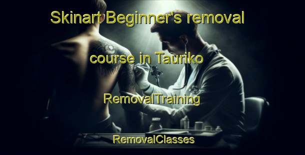 Skinart Beginner's removal course in Tauriko | RemovalTraining | RemovalClasses | SkinartTraining-New Zealand