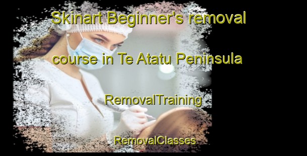 Skinart Beginner's removal course in Te Atatu Peninsula | RemovalTraining | RemovalClasses | SkinartTraining-New Zealand