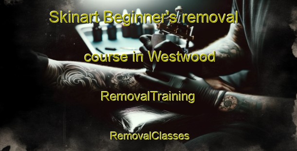 Skinart Beginner's removal course in Westwood | RemovalTraining | RemovalClasses | SkinartTraining-New Zealand
