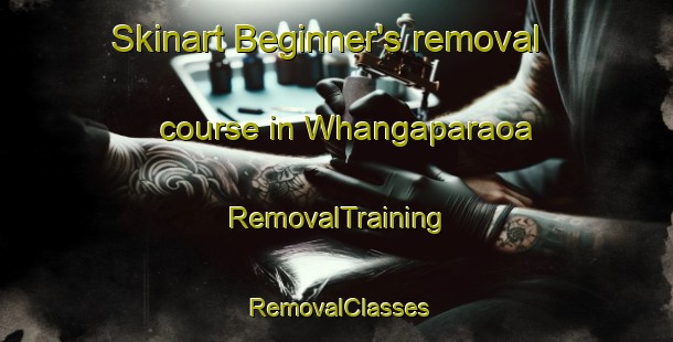 Skinart Beginner's removal course in Whangaparaoa | RemovalTraining | RemovalClasses | SkinartTraining-New Zealand