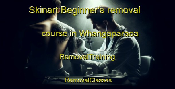 Skinart Beginner's removal course in Whangaparaoa | RemovalTraining | RemovalClasses | SkinartTraining-New Zealand