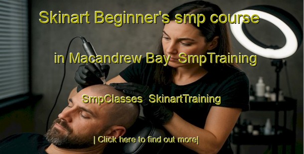 Skinart Beginner's smp course in Macandrew Bay | SmpTraining | SmpClasses | SkinartTraining-New Zealand