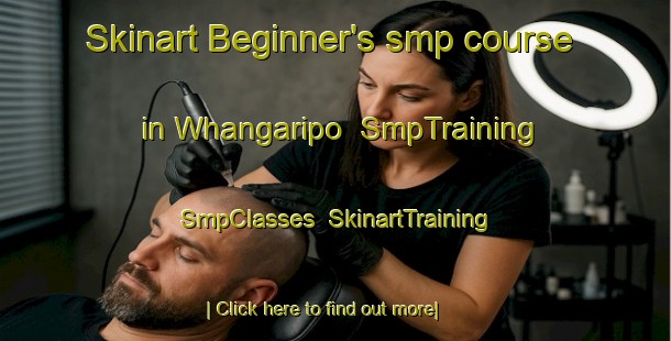 Skinart Beginner's smp course in Whangaripo | SmpTraining | SmpClasses | SkinartTraining-New Zealand