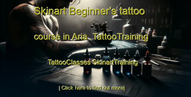 Skinart Beginner's tattoo course in Aria | #TattooTraining #TattooClasses #SkinartTraining-New Zealand