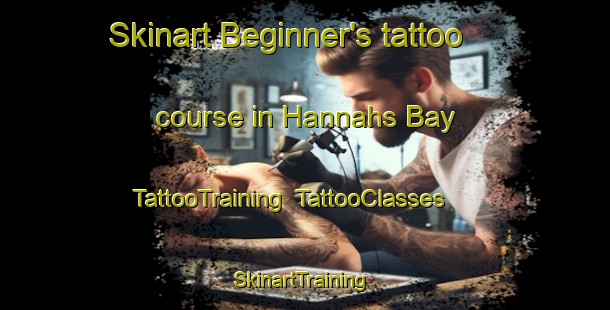 Skinart Beginner's tattoo course in Hannahs Bay | TattooTraining | TattooClasses | SkinartTraining-New Zealand