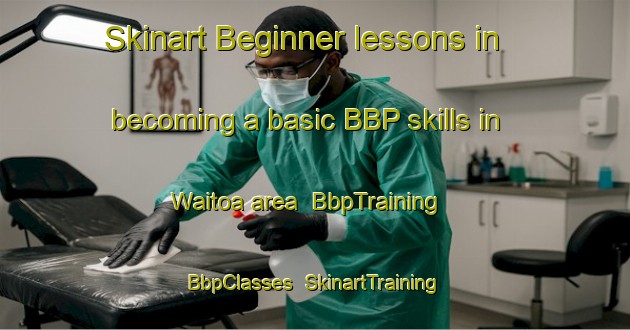 Skinart Beginner lessons in becoming a basic BBP skills in Waitoa area | BbpTraining | BbpClasses | SkinartTraining-New Zealand