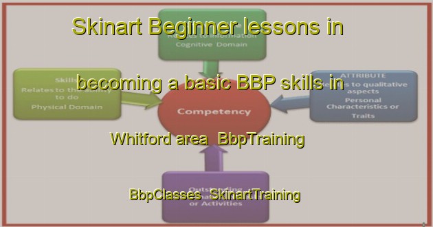 Skinart Beginner lessons in becoming a basic BBP skills in Whitford area | BbpTraining | BbpClasses | SkinartTraining-New Zealand