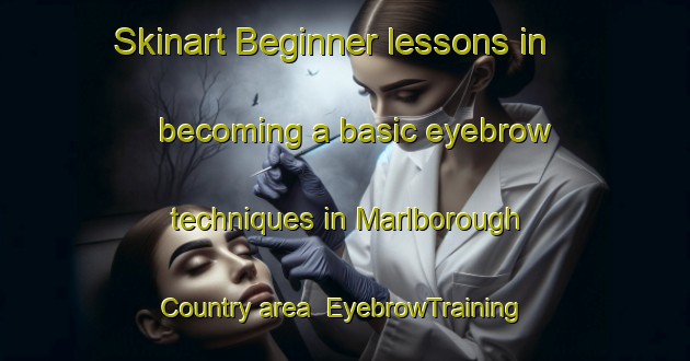 Skinart Beginner lessons in becoming a basic eyebrow techniques in Marlborough Country area | EyebrowTraining | EyebrowClasses | SkinartTraining-New Zealand