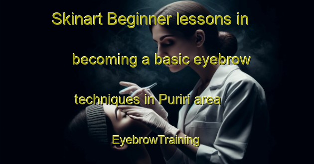 Skinart Beginner lessons in becoming a basic eyebrow techniques in Puriri area | EyebrowTraining | EyebrowClasses | SkinartTraining-New Zealand