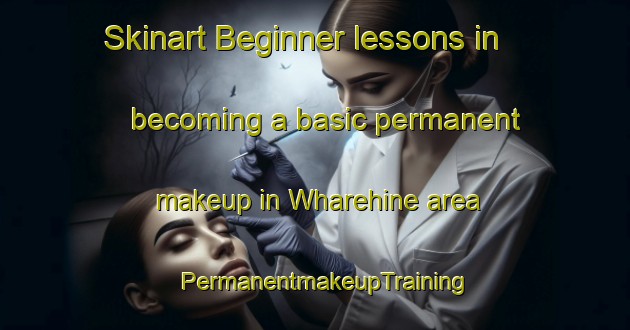 Skinart Beginner lessons in becoming a basic permanent makeup in Wharehine area | PermanentmakeupTraining | PermanentmakeupClasses | SkinartTraining-New Zealand
