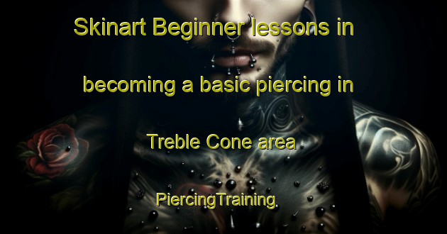 Skinart Beginner lessons in becoming a basic piercing in Treble Cone area | PiercingTraining | PiercingClasses | SkinartTraining-New Zealand