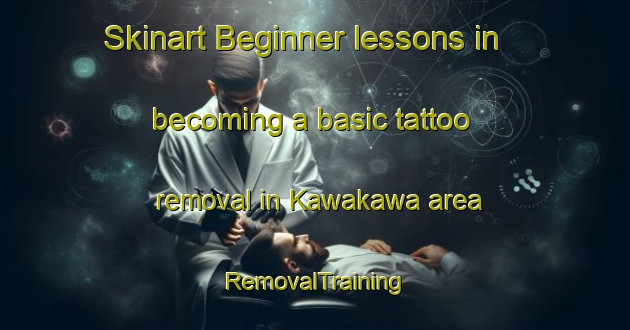 Skinart Beginner lessons in becoming a basic tattoo removal in Kawakawa area | RemovalTraining | RemovalClasses | SkinartTraining-New Zealand