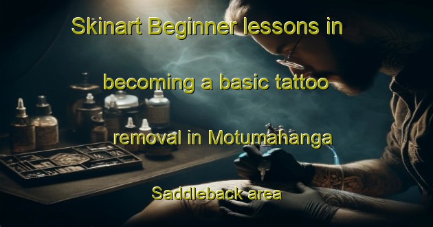 Skinart Beginner lessons in becoming a basic tattoo removal in Motumahanga  Saddleback area | RemovalTraining | RemovalClasses | SkinartTraining-New Zealand