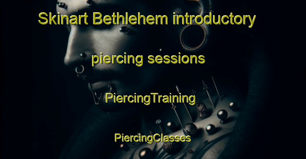 Skinart Bethlehem introductory piercing sessions | #PiercingTraining #PiercingClasses #SkinartTraining-New Zealand