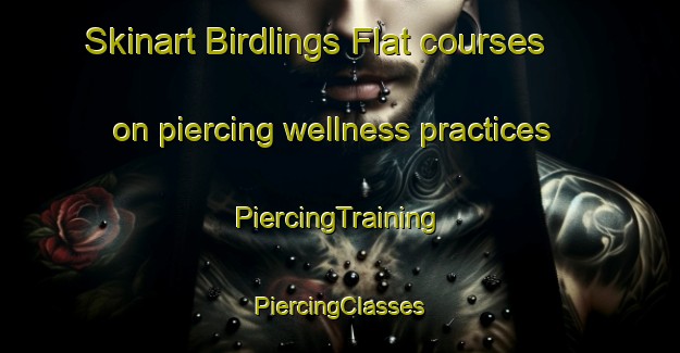 Skinart Birdlings Flat courses on piercing wellness practices | #PiercingTraining #PiercingClasses #SkinartTraining-New Zealand